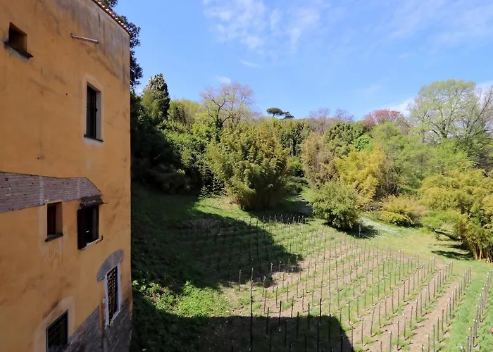 Il Mulino Di Trastevere - My Extra * Roma